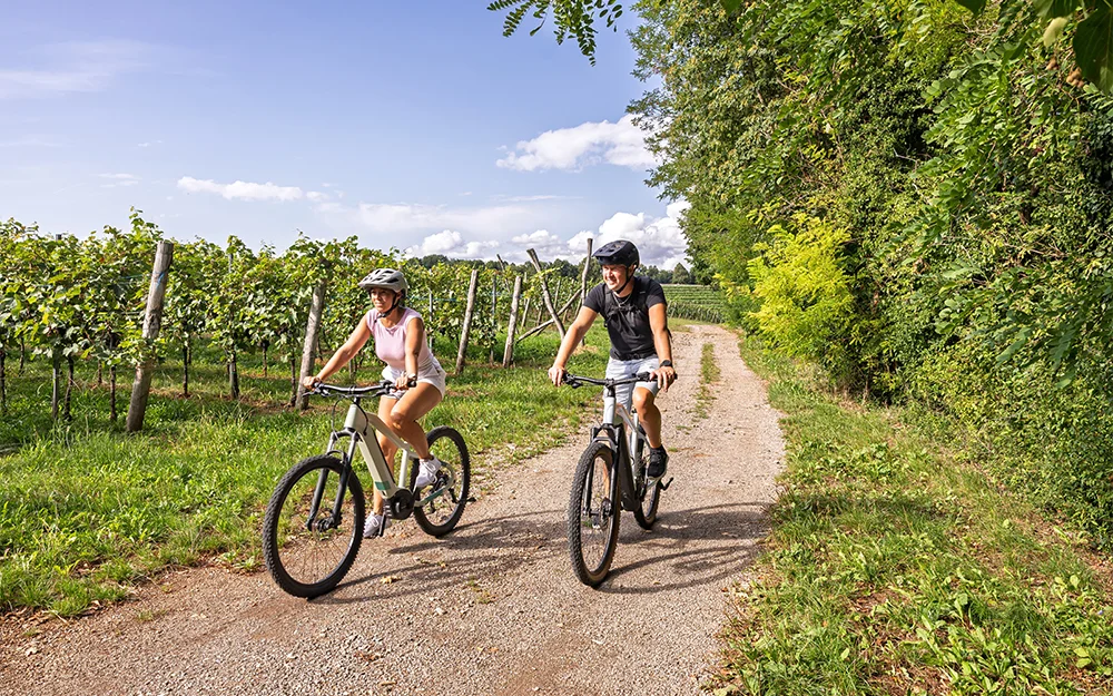Un homme et une femme faisant du vélo sur un chemin entre des vignes et un bois